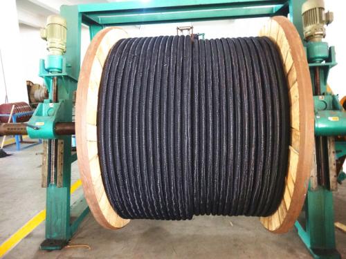 柔性陽極 (2) 柔性陽極 (2)