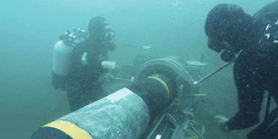 1569295933 1569295933